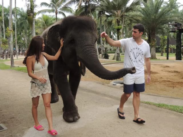 Bali Elephant Bath & Breakfast Day Tour